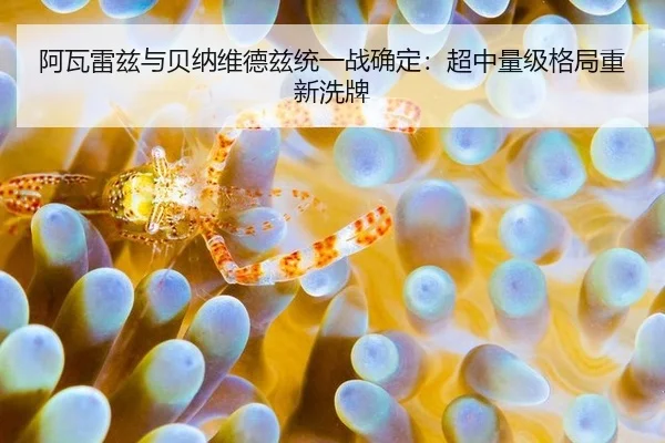 a-wa-lei-zi-yu-bei-na-wei-de-zi-tong-yi-zhan-que-ding-chao-zhong-liang-ji-ge-ju-chong-xin-xi-pai-2-541.jpg